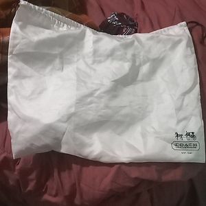 Coach silk bag